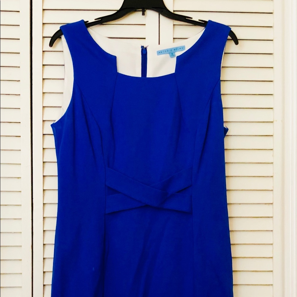 Antonio Melani Blue Sleeveless Sheath - Picture 8 of 9